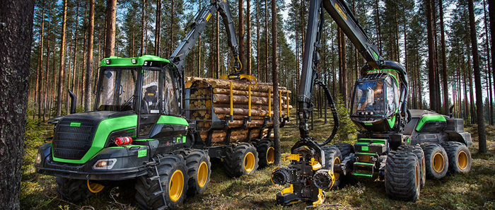 Лесозаготовительные работы в Беларуси